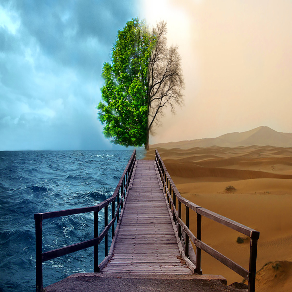 Offshore and Onshore Environmental services
